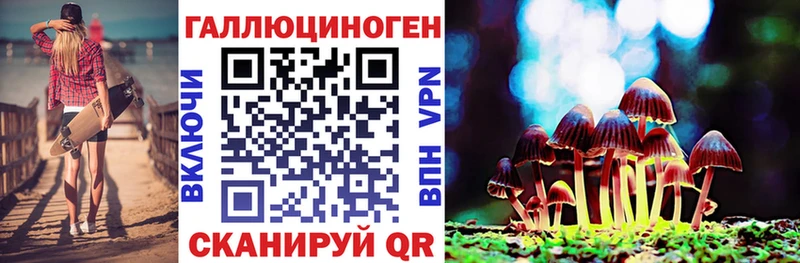 Купить где  Кологрив  Галлюциногенные грибы Cubensis 